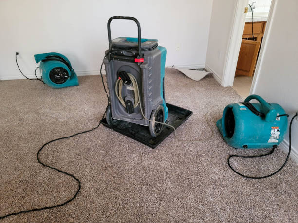Best Water damage contractors near me  in Morgantown, KY