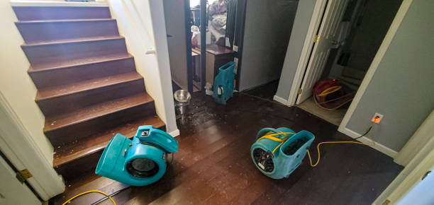 Best Fire Damage Restoration  in Morgantown, KY