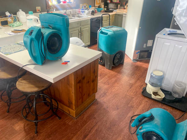 Best Basement water damage restoration  in Morgantown, KY