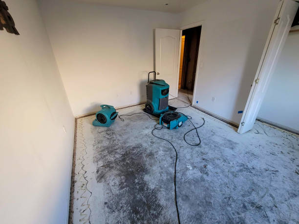 Best Water damage mitigation services  in Morgantown, KY