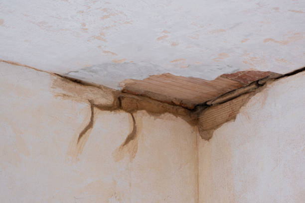 Best Sewage cleanup and water damage restoration  in Morgantown, KY