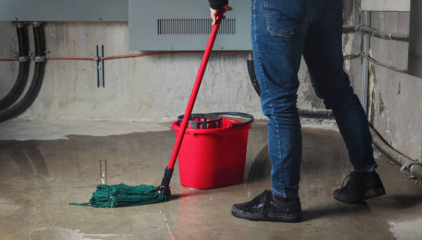 Best Ceiling water damage repair  in Morgantown, KY