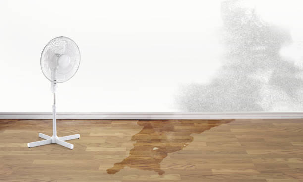 Reliable Morgantown, KY Water damage restoration Solutions