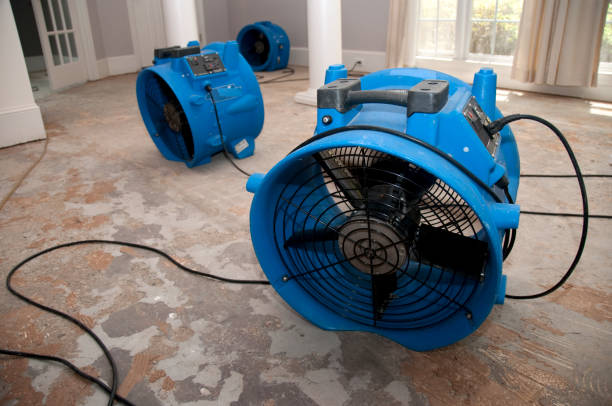 Water damage restoration insurance claims in Morgantown, KY