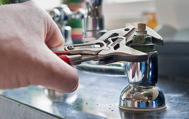 Best Professional water damage repair  in Morgantown, KY
