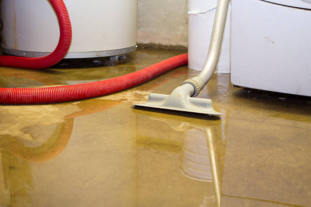 Best Water damage restoration near me  in Morgantown, KY