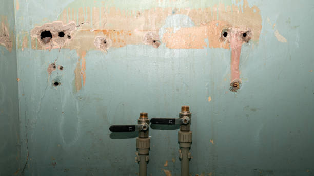 Best Flood restoration services  in Morgantown, KY