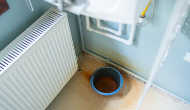 Best Water damage cleanup near me  in Morgantown, KY