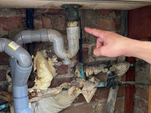 Best Water damage restoration experts  in Morgantown, KY