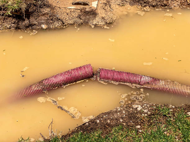 Best Water damage cleanup near me  in Morgantown, KY