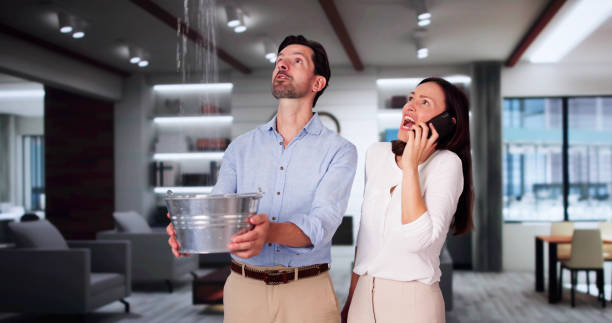 Best Water damage restoration near me  in Morgantown, KY
